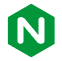 file type nginx