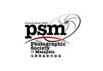 Website Design & Web Hosting |  PSM